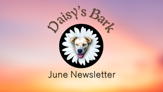 Daisy's Bark: June Newsletter