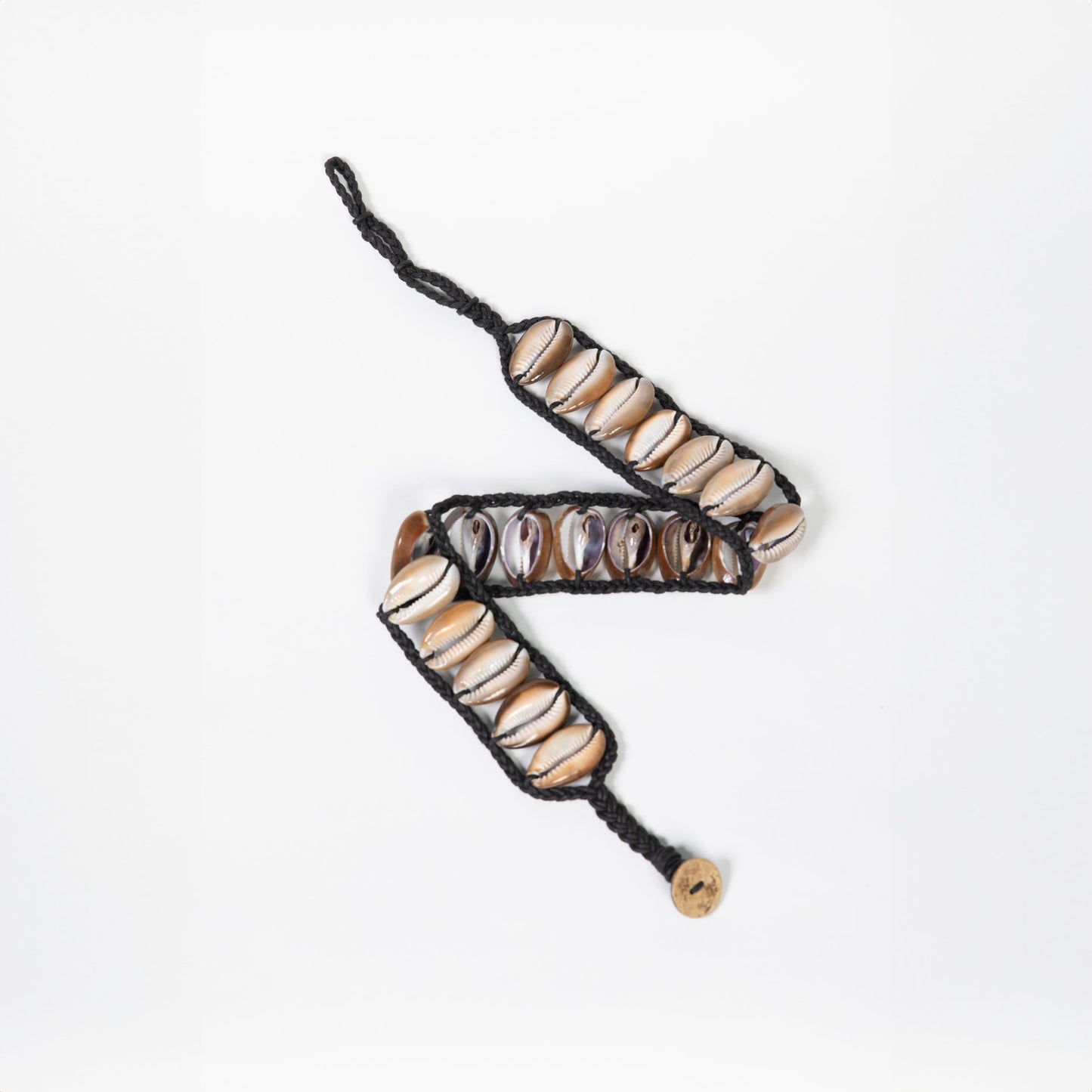 Seashell Dog Collar