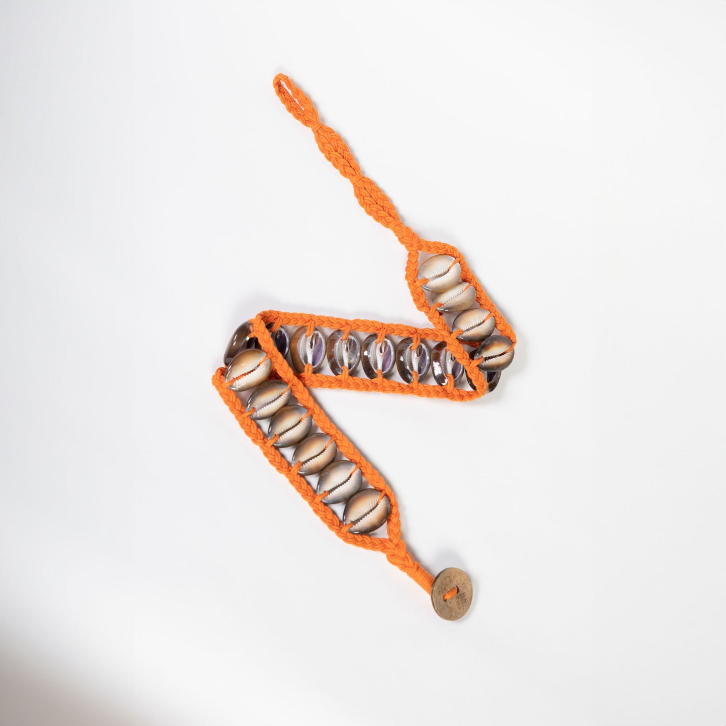 Seashell Dog Collar