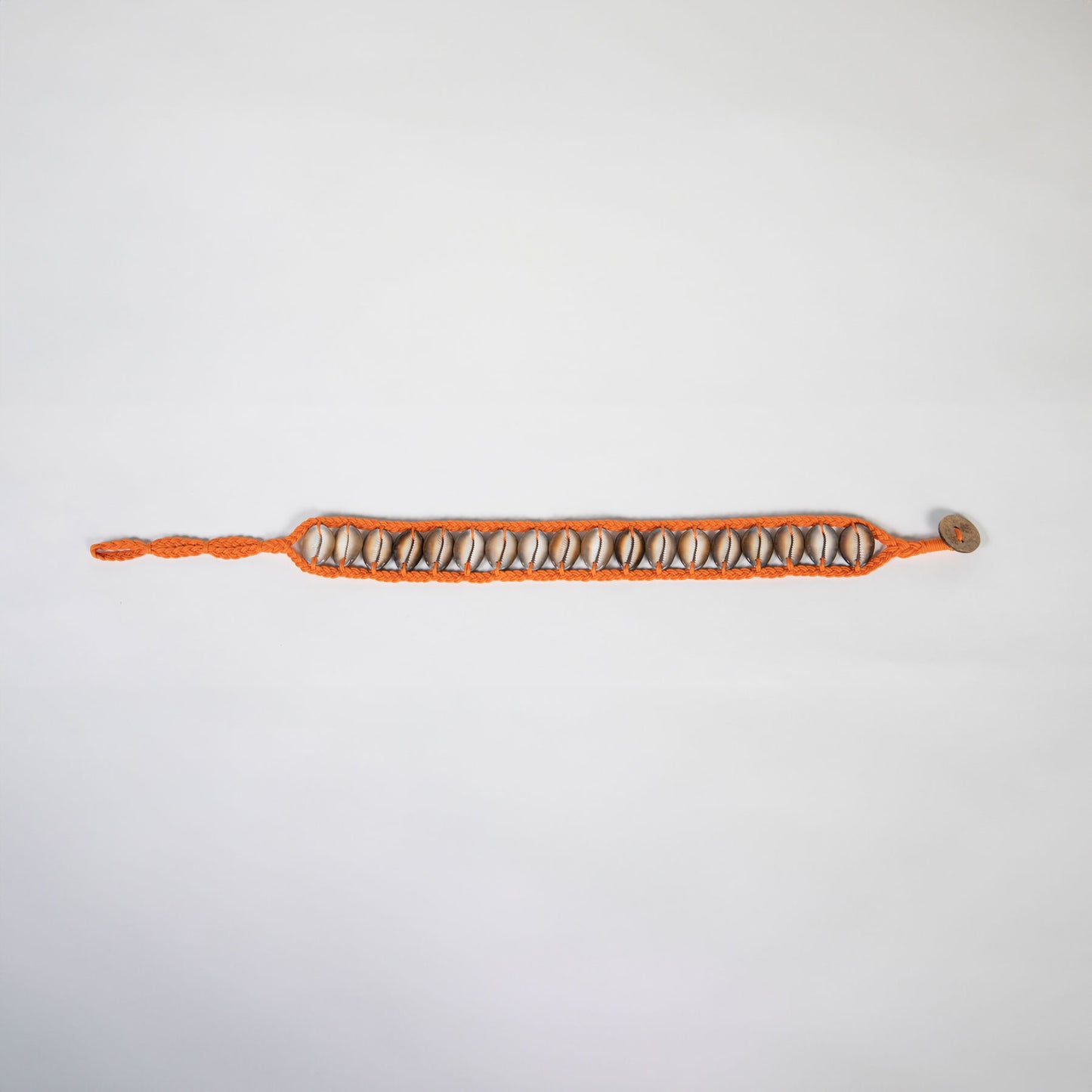 Seashell Dog Collar