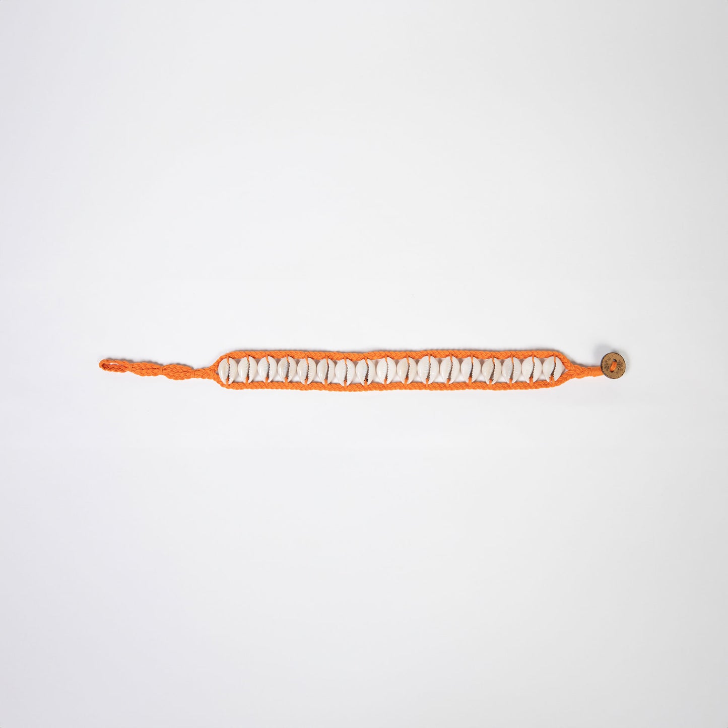 Seashell Dog Collar