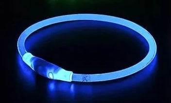 Safety Glow Collars