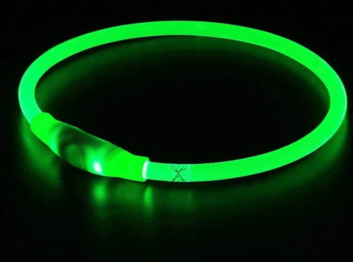 Safety Glow Collars