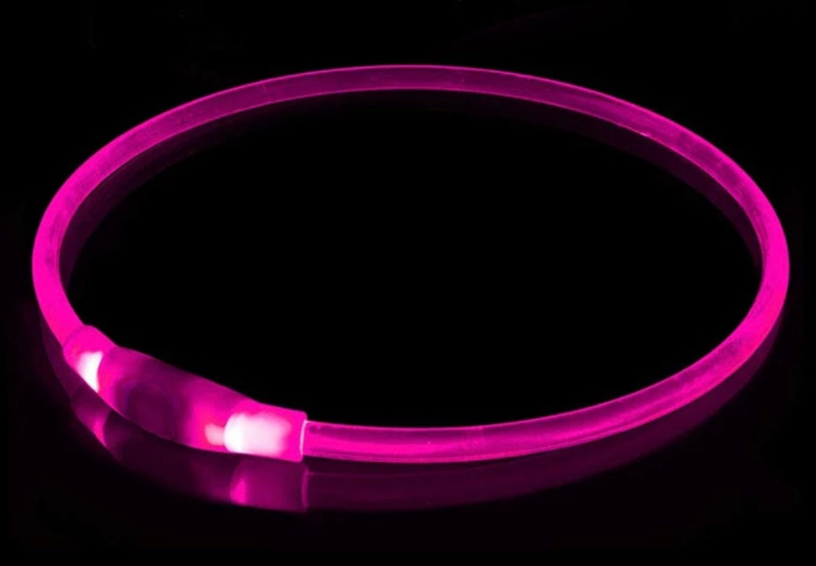 Safety Glow Collars