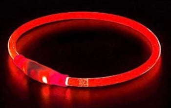 Safety Glow Collars