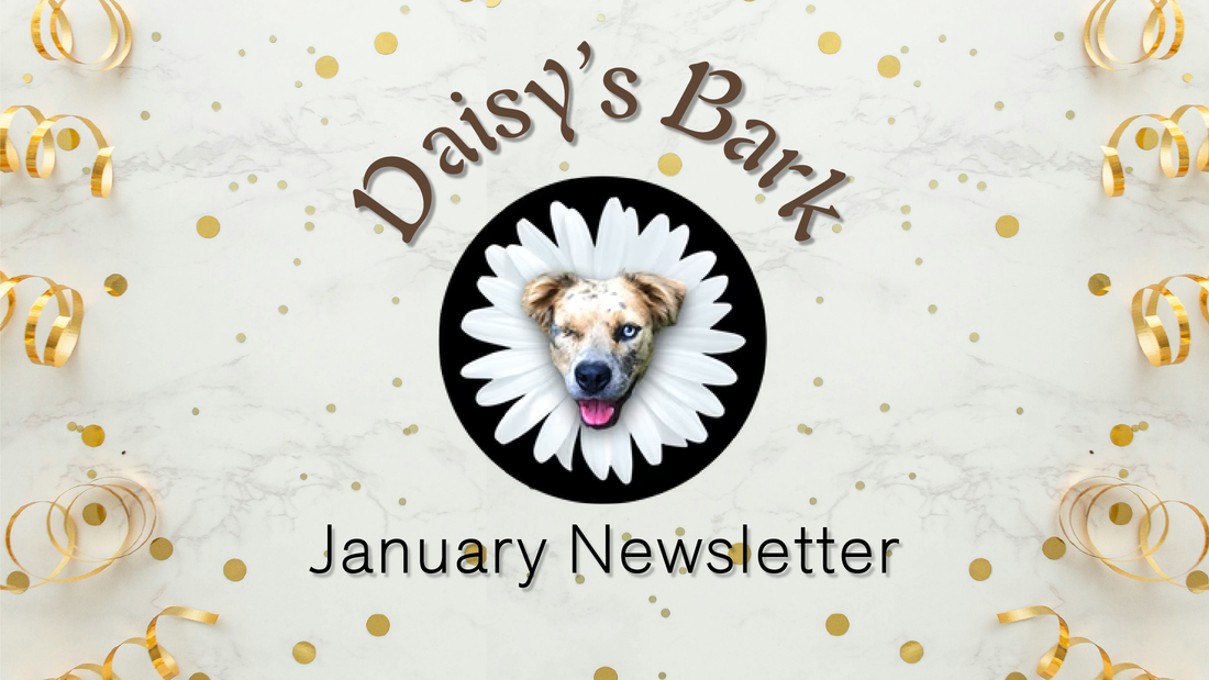 Daisy's Bark - January's Newsletter