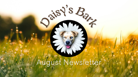 Daisy's Bark - August Newsletter