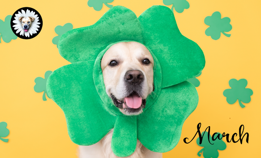 🌷 March Into Spring with Your Pup