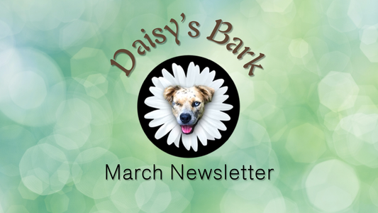 Daisy's Bark - March Newsletter