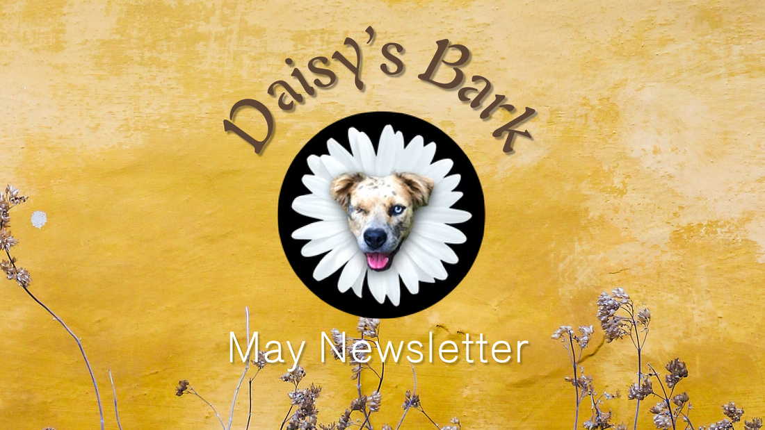 Daisy's Bark - May Newsletter