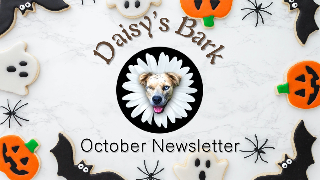 Daisy's Bark - October Newsletter