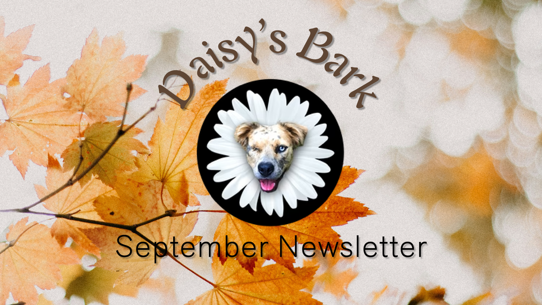Daisy's Bark - September Newsletter