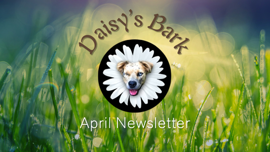Daisy's Bark: April Newsletter