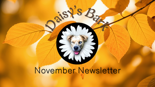 Daisy's Bark: November Newsletter