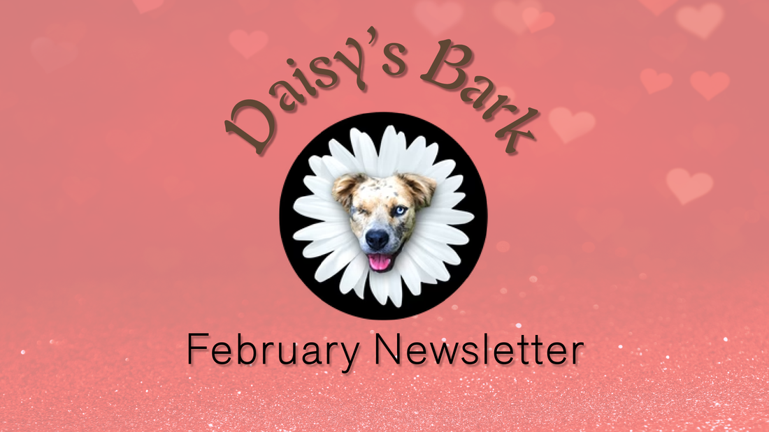 Daisy's Bark - February Newsletter