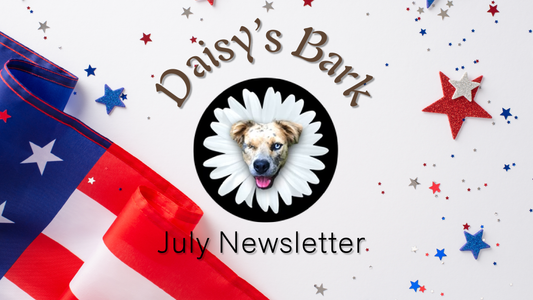 Daisy's Bark: July Newsletter