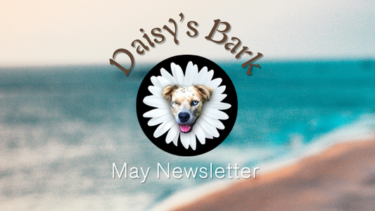 Daisy's Bark: May Newsletter