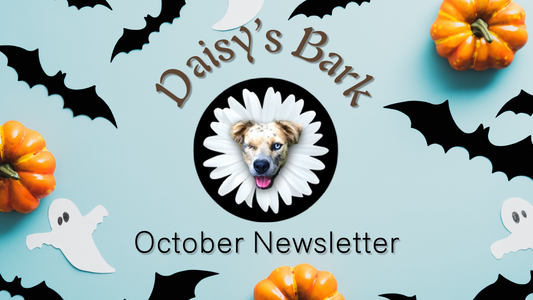 Daisy's Bark: October Newsletter