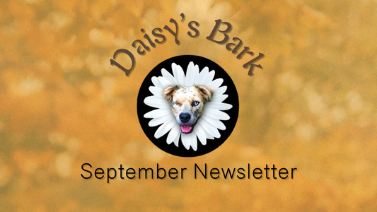 Daisy's Bark: September Newsletter