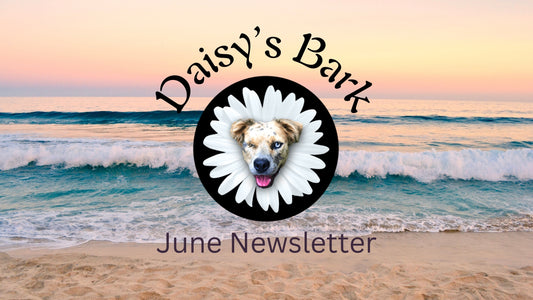 Daisy's Bark: June Newsletter
