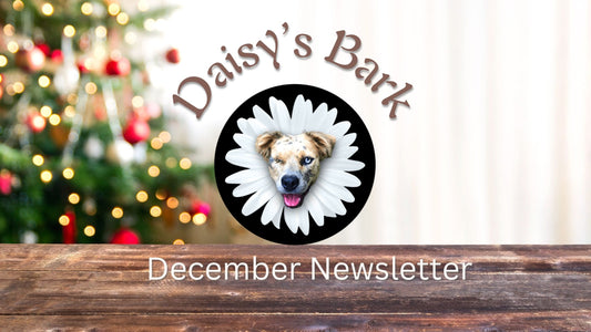 Daisy's Bark: December Newsletter