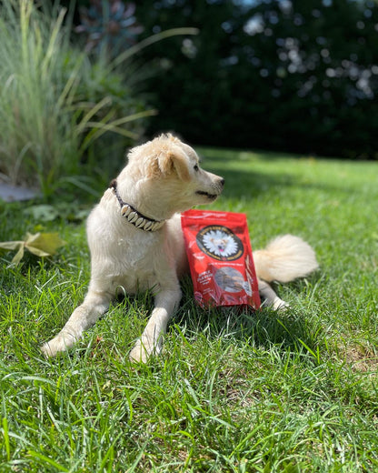Daisy's Dog Treats - Peanut Butter Flavor