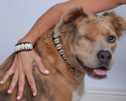 Seashell Dog Collar