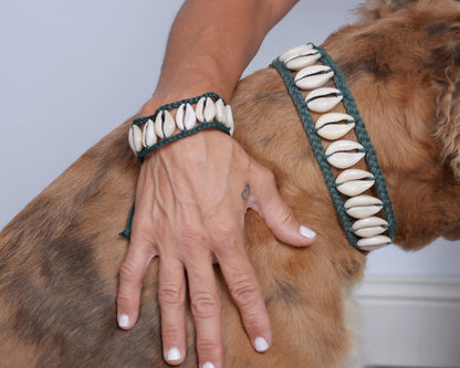 Seashell Dog Collar