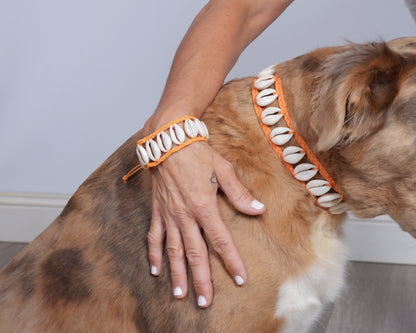 Seashell Dog Collar