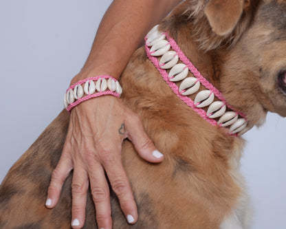 Seashell Dog Collar