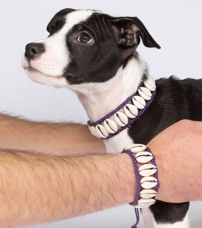Seashell Dog Collar